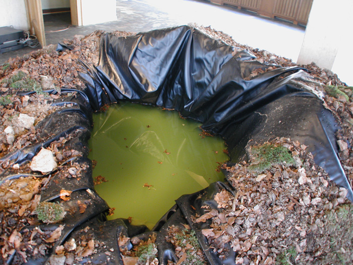 thea_djordjadze_salome machaidze_02