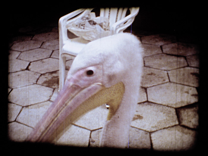 ndiaga_fall_jens_ullrich_06