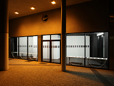 Jens Ullrich / Fences die Haut