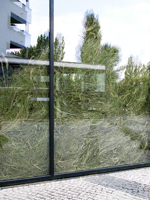 sebastian_hammwoehner_03