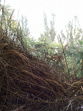 sebastian_hammwoehner_05