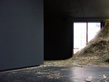 Sebastian Hammwöhner / needle in the hay