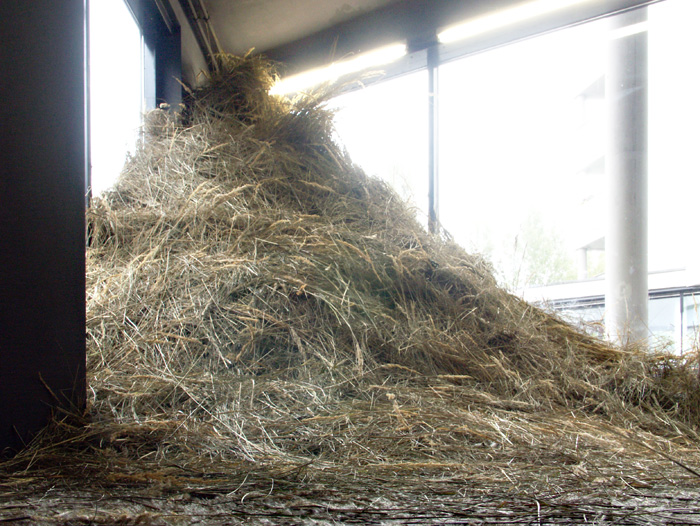 sebastian_hammwoehner_11