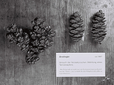 Fotoachse Kölnerstrasse / Jens Ullrich, Jan Wagner, Christian Konrad, Hans-Peter Feldmann, Alex Jasch, Matthias Lahme, Thomas Ruff, Florian Baudrexel