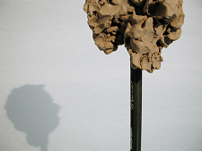 gaehn_nett_jasch_ullrich_02