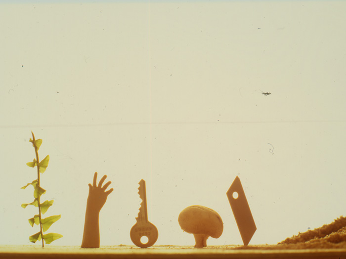 immer_alex_jasch_jens_ullrich_02