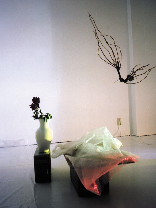 jan_wagner_olloquiegie_03