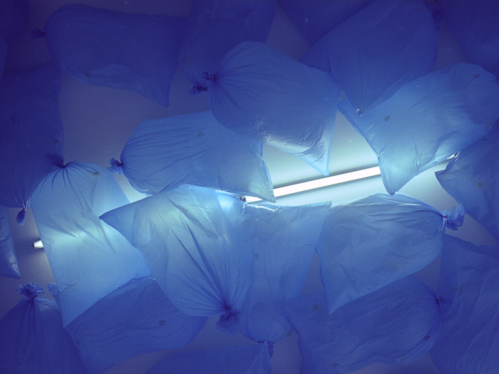 jens_ullrich_visdpr_03